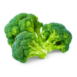 Broccoli (Ting Ho) / Case