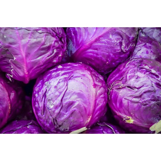 Red Cabbage - 25LB/Bag