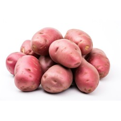 Red Potato - 50LB/Bag
