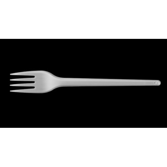 Plastic Fork - 1000/Case