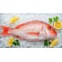 Red Snapper 2/3 - 44# / Case