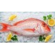 Red Snapper 2/3 - 44# / Case