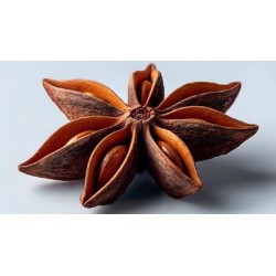 Dried Star Anise (Szechuan) - 12oz/Bag