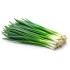 Green Onion - 4 dozens/Case
