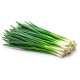 Green Onion - 4 dozens/Case