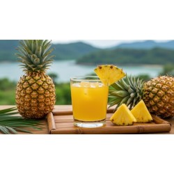 Pineapple Juice (Royal Foods)-12x46oz/Case