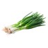 Green Onion - 1Doz (12CT)/Pack