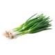 Green Onion - 1Doz (12CT)/Pack