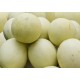 Honeydew - (4-6 Pieces)/Case