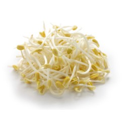 Bean Sprouts -10LB/Case