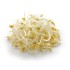 Bean Sprouts -10LB/Case