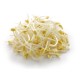 Bean Sprouts -10LB/Case