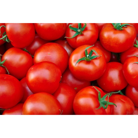 Tomato - 25LB/Case