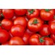 Tomato - 25LB/Case
