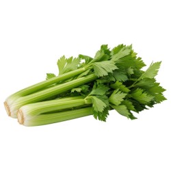 Celery Fresh 24CT/Case