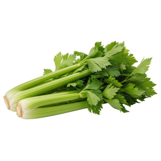 Celery Fresh 24CT/Case