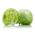 Iceberg Lettuce/Case