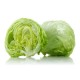 Iceberg Lettuce/Case