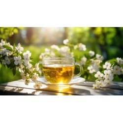 Jasmine Tea Drink-15x500ml/Case