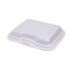 PS2200 Foam Container-Replacing SN220 (DOLCO)-200/Case
