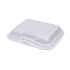 PS2200 Foam Container-Replacing SN220 (DOLCO)-200/Case