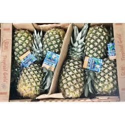 Pineapple - 25LB/Case