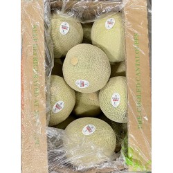 Cantaloupe - 6-12 Pcs/Case