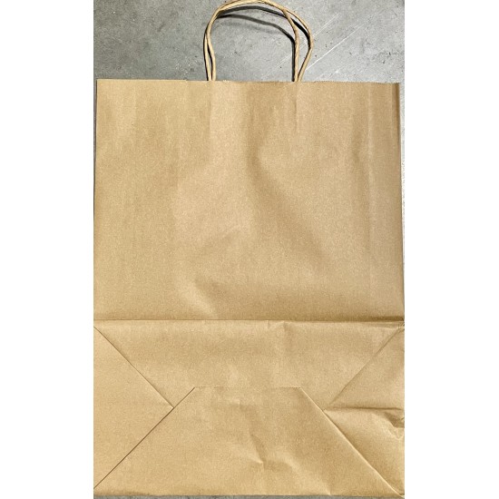 Shopping Bag with Handles-250/Case