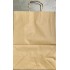 Shopping Bag with Handles-250/Case