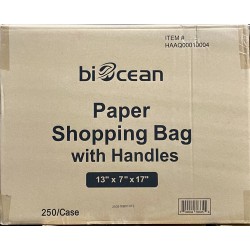 Shopping Bag with Handles-250/Case