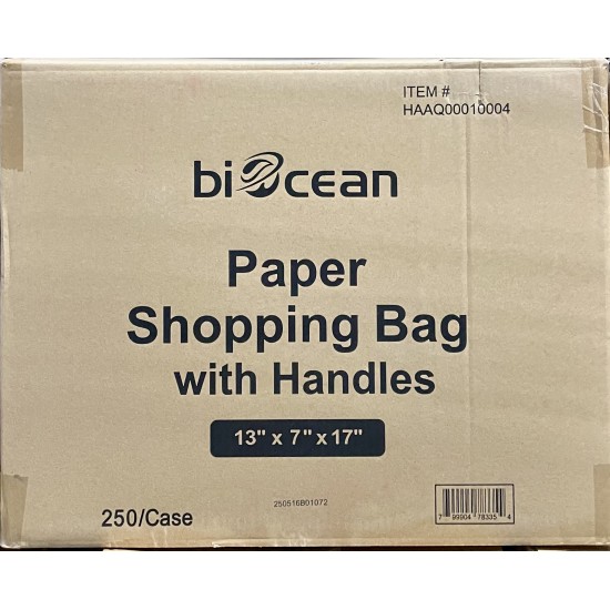 Shopping Bag with Handles-250/Case