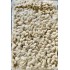 Cashew Nut -10x5LB/Case