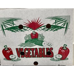 Green Onions - 4 dozens / case