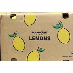 Lemon-(165-235±)/Case