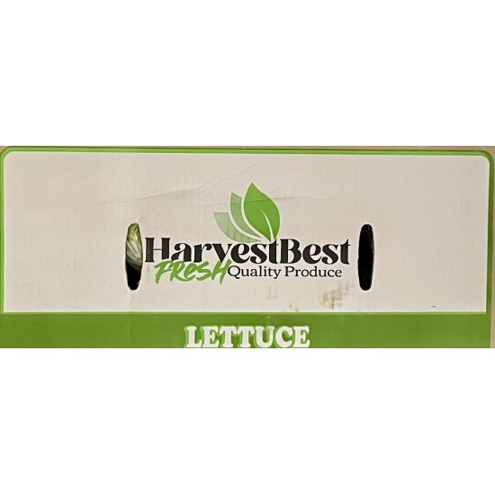 Iceberg Lettuce/Case