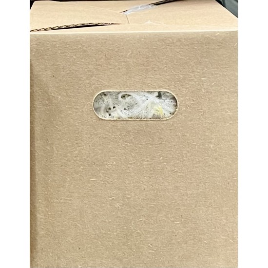 Bean Sprouts -10LB/Case
