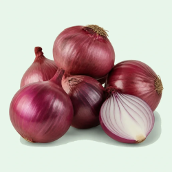 ONION RED 25 LBS