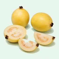 GUAVA / GUAYABA 13 LBS