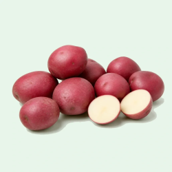 POTATO RED 50LBS