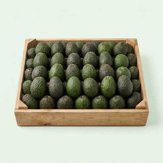 AVOCADO BREAKER 48 CT #1