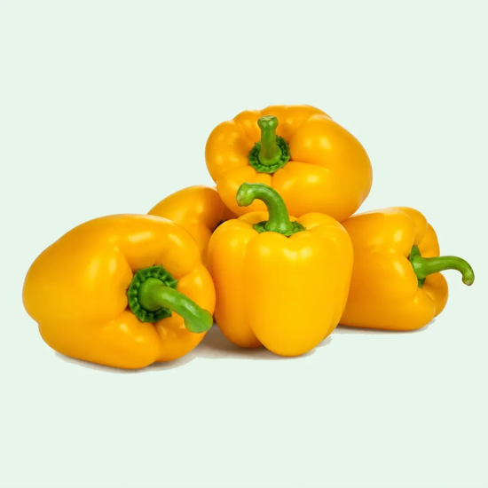 PEPPER BELL GOLD/YELLOW 25 LBS