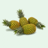 PINEAPPLE 6/7CT