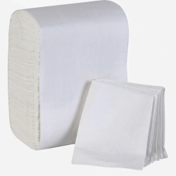EXPRESS WH NAPKIN 12/500 CT