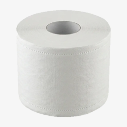 JUMBO TOILET TISSUE 9'' / 2-PLY
