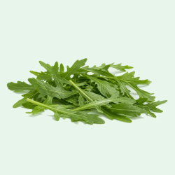 ARUGULA BABY 4 LB