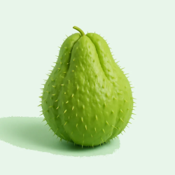 CHAYOTE CON ESPINA 35 LB