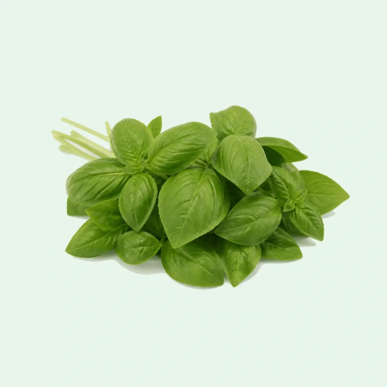 BASIL HAWAIAN 1 LB