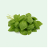 BASIL HAWAIAN 1 LB