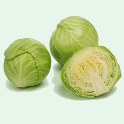 CABBAGE GREEN Bagged 40LB (12CT)