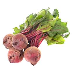 BEET / BETABEL BUNCH 12 CT